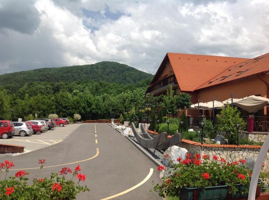 Hotel Belvedere 索瓦塔 外观 照片