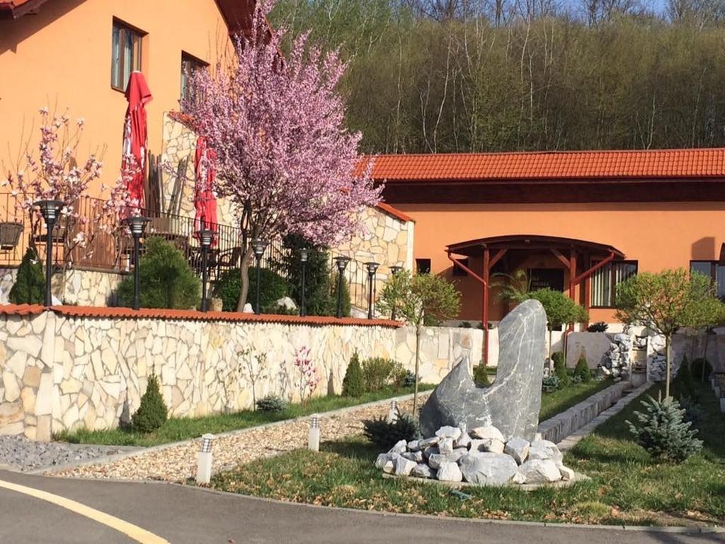 Hotel Belvedere 索瓦塔 外观 照片
